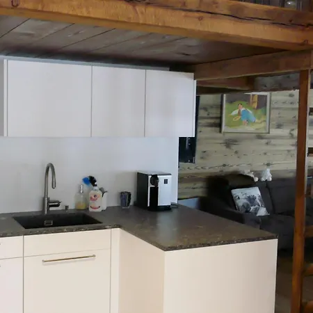 Birkhahn Appartement-fewo 4-bettwohnung By Interhome