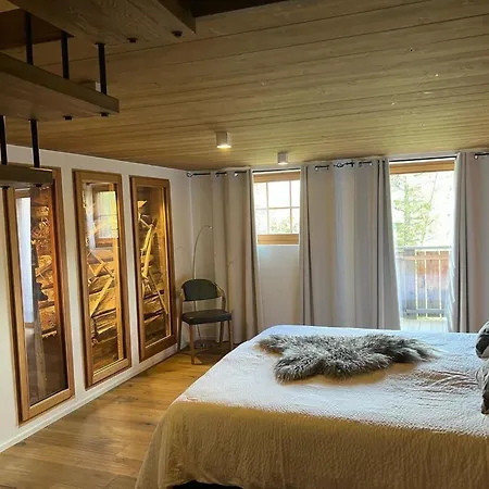 Apartment Birkhahn Appartement-fewo 4-bettwohnung By Interhome Saas-Fee
