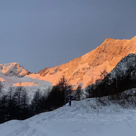 Birkhahn Appartement-fewo 4-bettwohnung By Interhome Apartment Saas-Fee